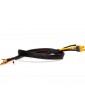 Spektrum IC3 Battery: 5mm Bullet Smart Battery Charge Cable