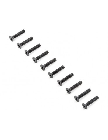 TLR Screws M4x20mm Flat Head (10)