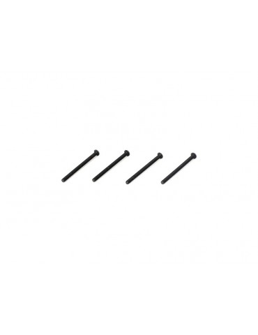 Button Head Screws, M3 x 40mm (4)