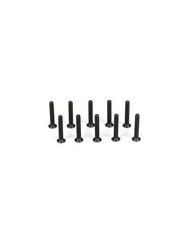 Flathead Screw, M3 x 20mm (10)
