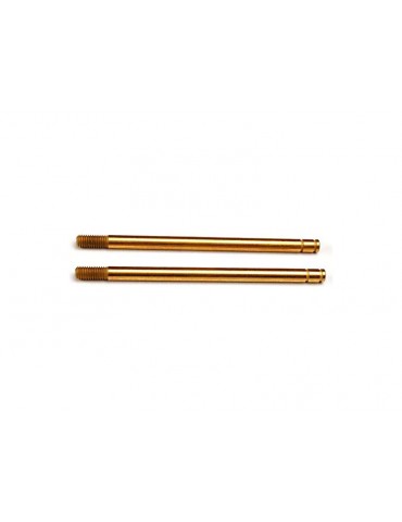 Traxxas Shock shafts, hardened steel, TiN (xx-long) (2)