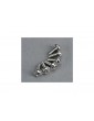 Traxxas Motor screws (3x8mm washerhead machine) (6)