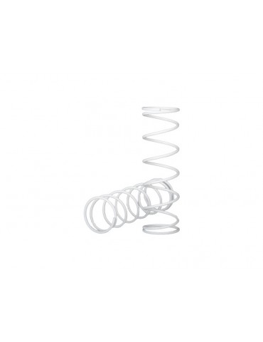 Traxxas Springs, front (2)