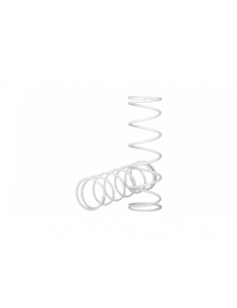 Traxxas Springs, front (2)