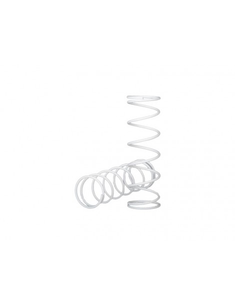Traxxas Springs, front (2)
