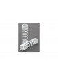 Traxxas Springs, rear (white) (progressive rate) (2)