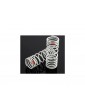 Traxxas Springs, front (progressive, -20% rate, orange) (2)
