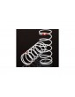 Traxxas Spring, shock, white (GTR long) (0.623 rate orange) (2)