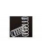 Traxxas Spring, shock, white (GTR xx-long) (1.004 rate blue) (2)