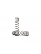 Traxxas Spring, shock, (GTR) (progressive, 1.250 rate) (2)