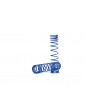 Traxxas Spring, shock, (GTR) (progressive, 1.042 rate) (2) (blue)