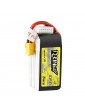 Akumuliatorius Tattu R-Line 1050mAh 22.2V 95C 6S1P XT60