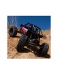 Axial 1/10 Capra 1.9 4WS RTR Red
