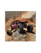 Axial 1/10 Capra 1.9 4WS RTR Black