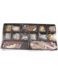 COREL H.M.S. Greyhound frigate 1720 1: 100 kit