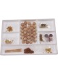 Fifie Fischkutter kit 1:32
