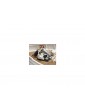 CALDERCRAFT Schaarh rn 1908 1:35 kit