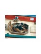 CALDERCRAFT H.M. Granado 1739 1:64 kit