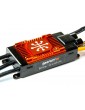 Spektrum Smart Brushless ESC Avian 80A 3-8S