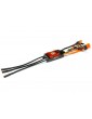 Spektrum Smart Brushless ESC Avian 80A 3-8S