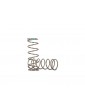 Traxxas Springs, shock (natural finish) (GT-Maxx) (2.054 rate) (2)