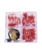 Modell-Tec D/S Skibladner 1:60 kit