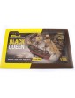 MINI MAMOLI Black Queen 1: 135 kit