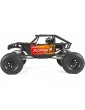 Axial 1/10 Capra 1.9 4WD RTR Red