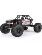 Axial 1/10 Capra 1.9 4WD Kit