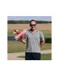 E-flite Pitts S-1S 0.39m SAFE BNF Basic