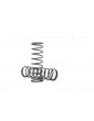 Traxxas Springs, shock (natural finish) (GT-Maxx) (1.671 rate) (85mm) (2)
