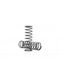 Traxxas Springs, shock (natural finish) (GT-Maxx) (1.569 rate) (85mm) (2)