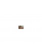 CALDERCRAFT Mary Rose 1509 1:80 kit