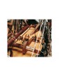 CALDERCRAFT Endeavor H.M. Bark 1767 1:64 kit