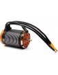 Spektrum Brushless Motor Firma 5684 1200Kv Crawler