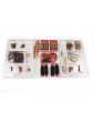 VICTORY MODELS H.M.S. Fly 1776 1:64 kit