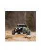 Losi 1/10 Hammer Rey 4WD RTR Green