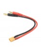 Charge Adapter: Banana to XT30 Male