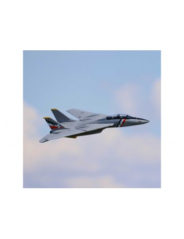 E-flite F-14 Tomcat 0.76m BNF Basic
