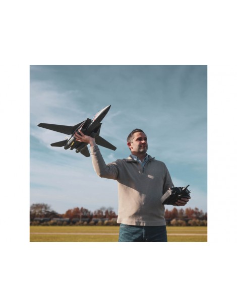 E-flite F-14 Tomcat 0.76m BNF Basic