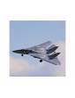 E-flite F-14 Tomcat 0.76m BNF Basic