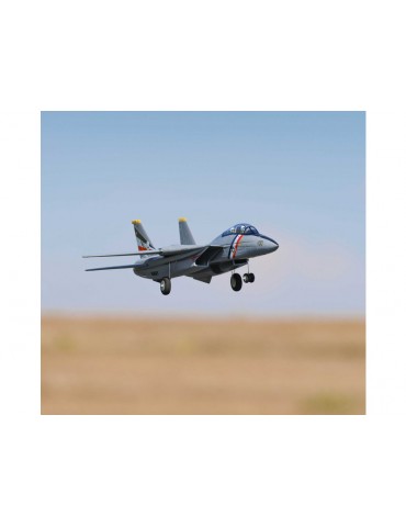 E-flite F-14 Tomcat 0.76m BNF Basic