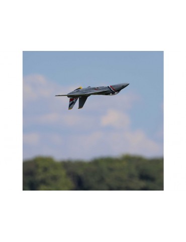 E-flite F-14 Tomcat 0.76m BNF Basic