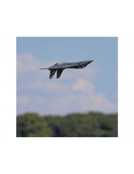 E-flite F-14 Tomcat 0.76m BNF Basic