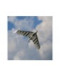 E-flite Opterra 2.0m SAFE Select BNF Basic
