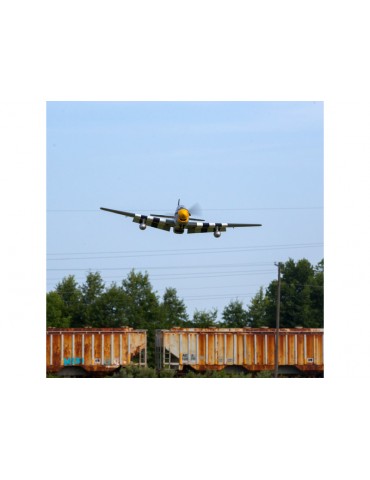 Hangar 9 P-51D Mustang 1.8m ARF