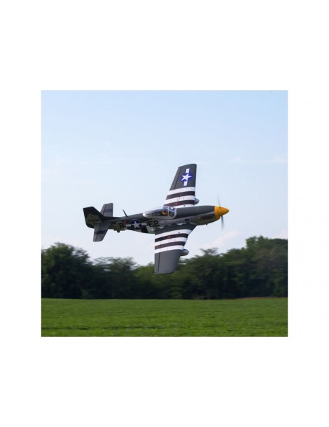 Hangar 9 P-51D Mustang 1.8m ARF