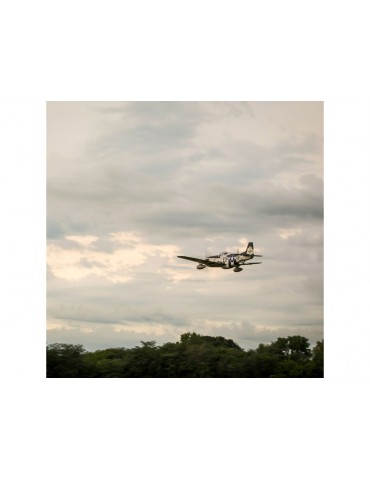 Hangar 9 P-51D Mustang 1.8m ARF