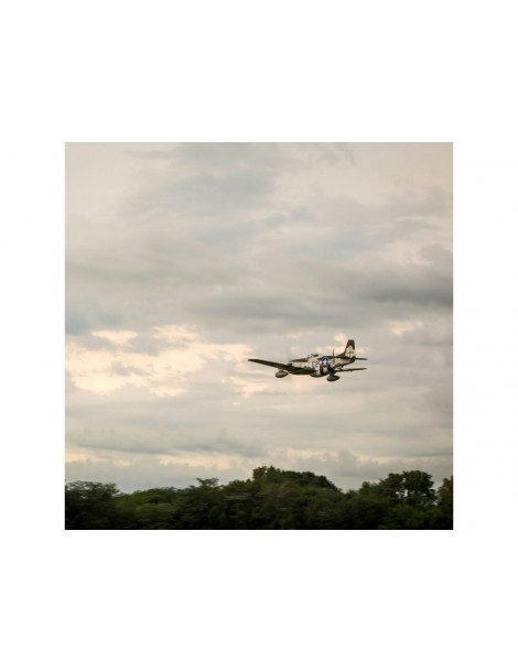 Hangar 9 P-51D Mustang 1.8m ARF