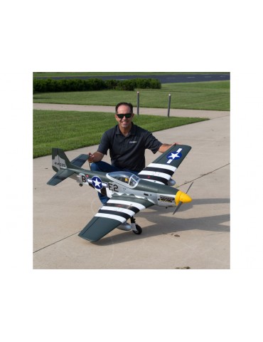 Hangar 9 P-51D Mustang 1.8m ARF
